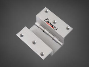W Type Hinges | S R Brass